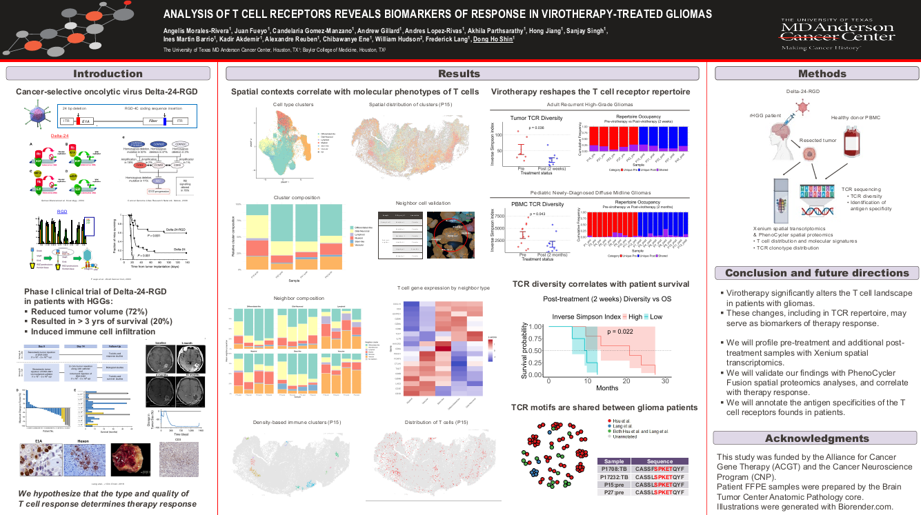 Analysis of T cell receptors reveals biomarkers of response in virotherapy-treated gliomas