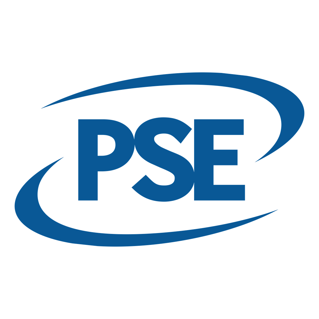 Public Sector Executive