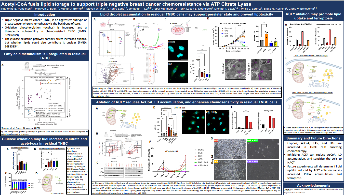ATP citrate lyase regulates fatty acid synthesis and chemosensitivity in triple negative breast cancer