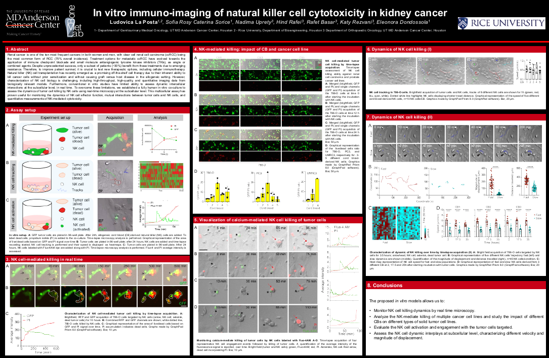 Development of image analysis tools to study in vitro natural killer cell dynamics and cytotoxicity against renal cancer cells