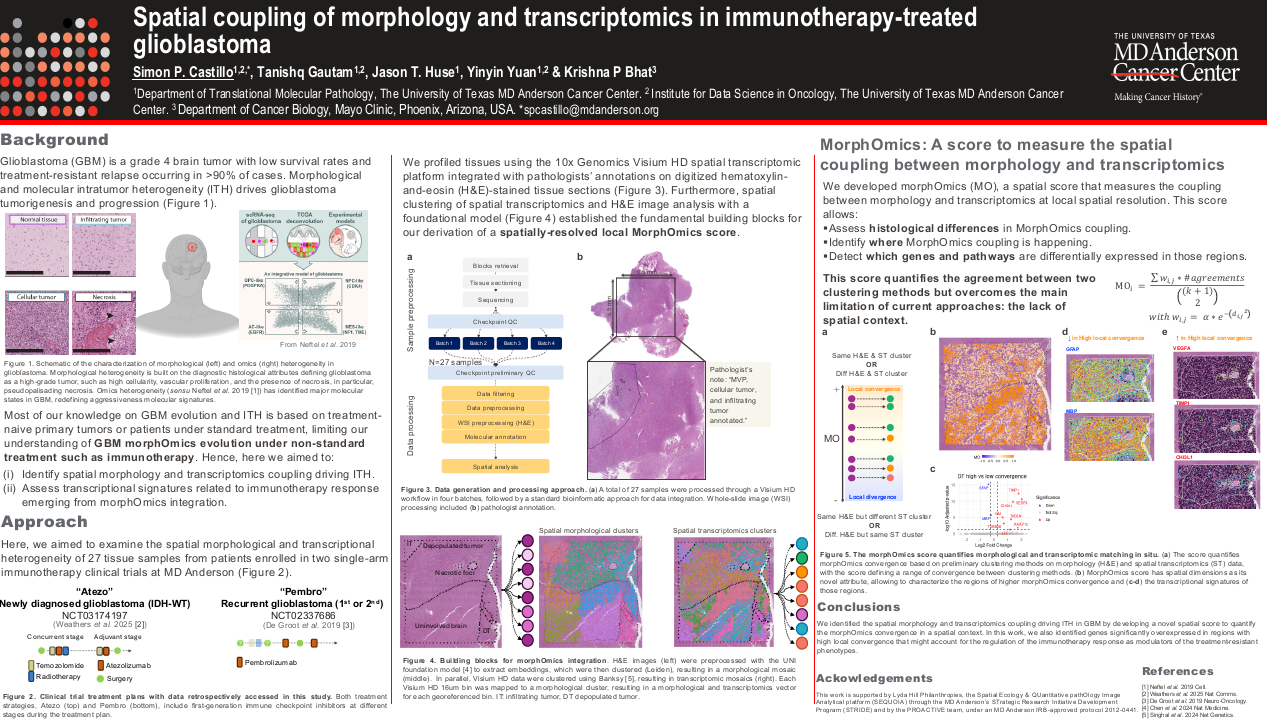Spatial coupling of morphology and transcriptomics in immunotherapy-treated glioblastoma