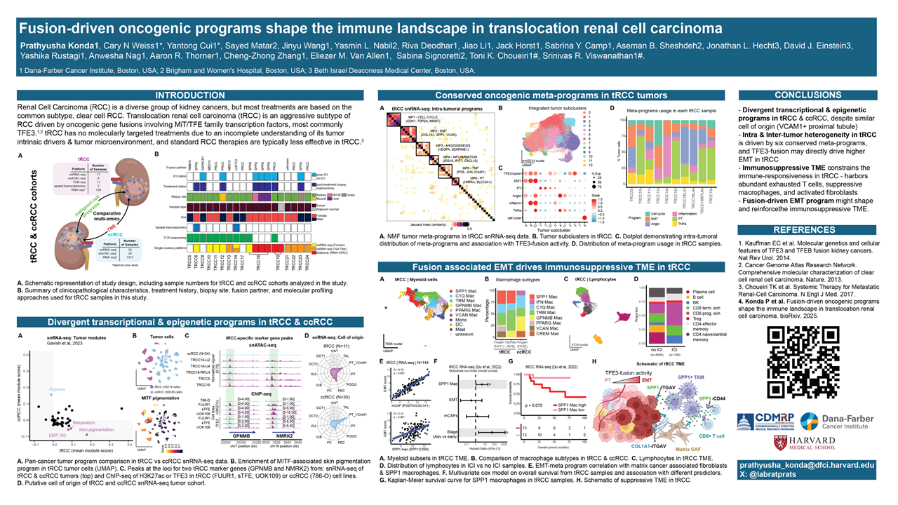 Fusion-driven oncogenic programs shape the immune landscape in translocation renal cell carcinoma