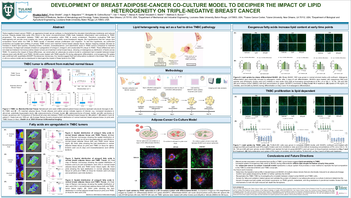 Development of breast adipose-cancer co-culture model to decipher the impact of lipid heterogeneity on triple-negative breast cancer