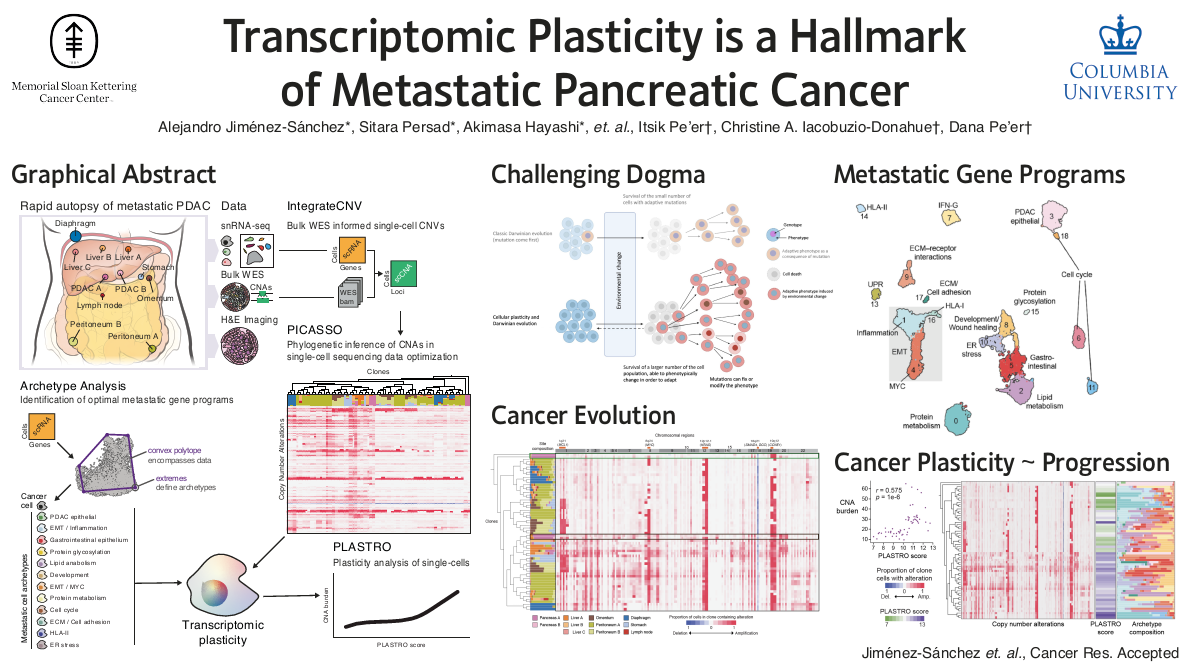 Transcriptomic plasticity is a hallmark of metastatic pancreatic cancer