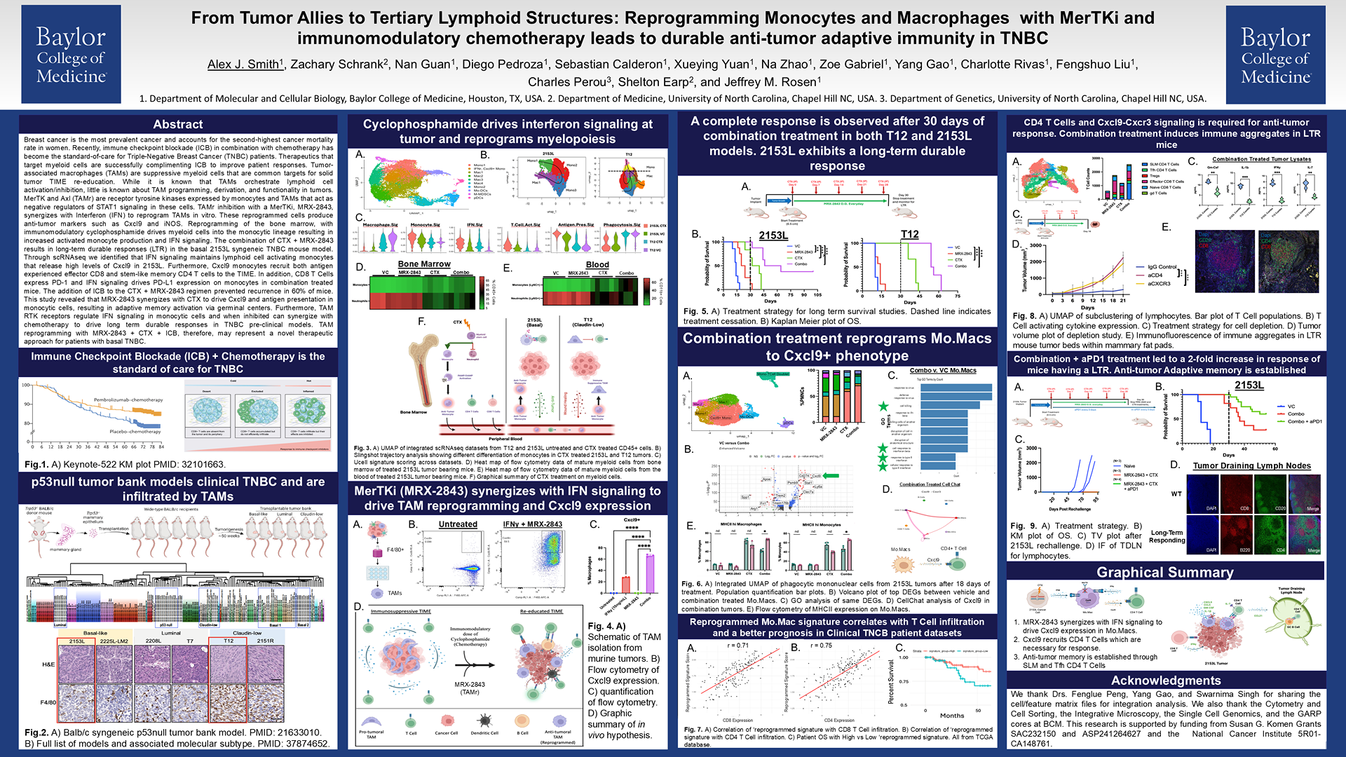 From tumor allies to tertiary lymphoid structures: mertki reprogramming of monocytes and macrophages in TNBC