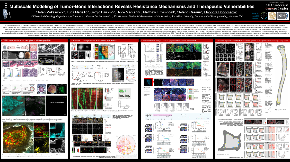 Multiscale modeling of tumor-bone interactions reveals resistance mechanisms and therapeutic vulnerabilities