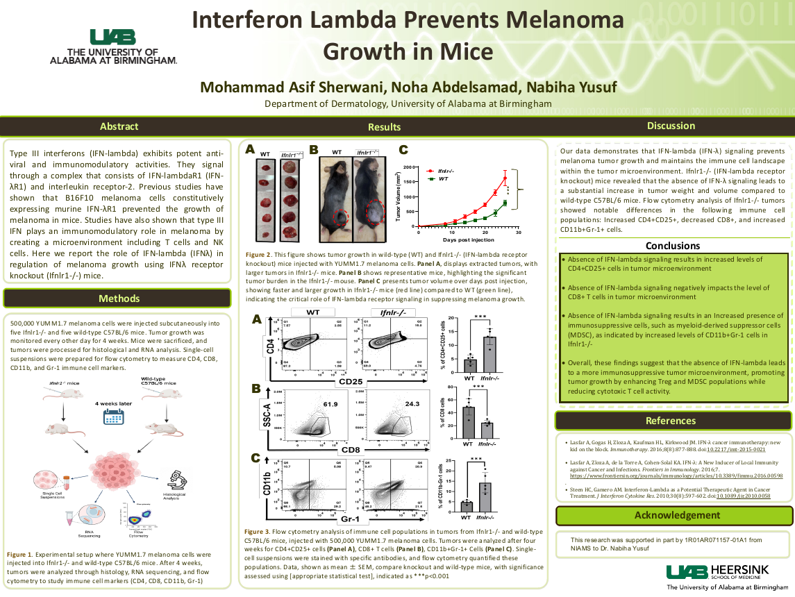 Interferon lambda retards melanoma growth in mice