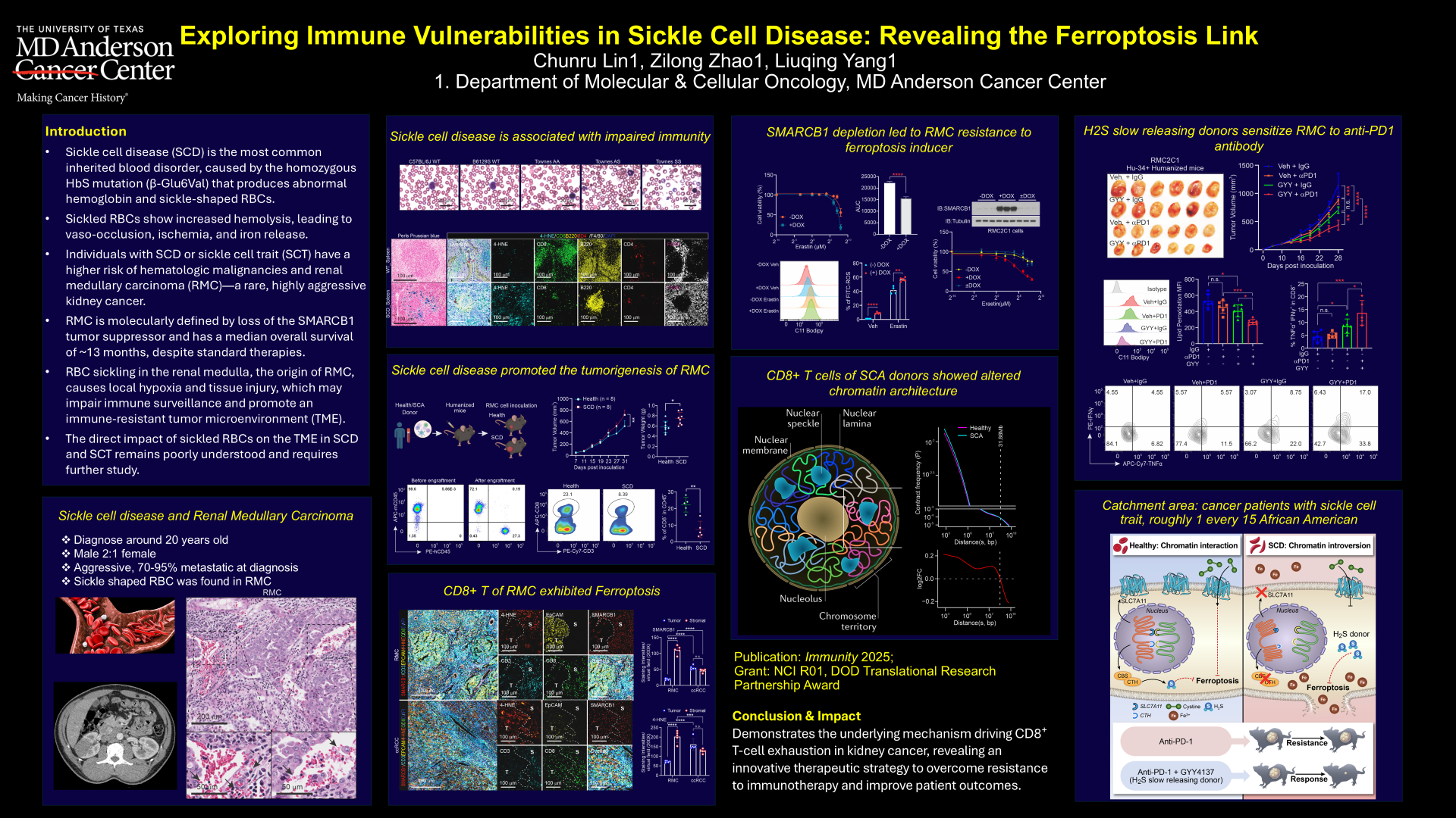 Chromatin introversion in sickle cell disease promotes T cell ferroptosis