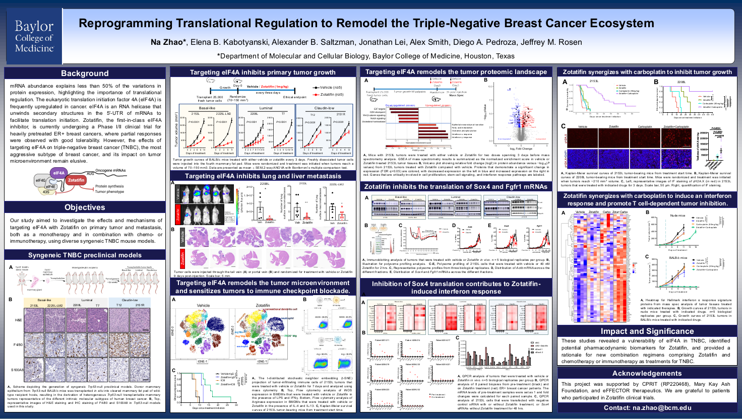 Reprogramming translation regulation to remodel the triple-negative breast cancer ecosystem