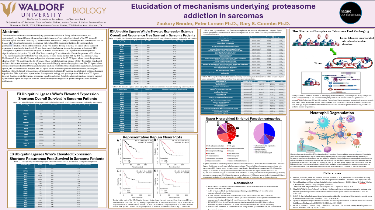 Elucidation of mechanisms underlying proteasome addiction in ewing sarcoma