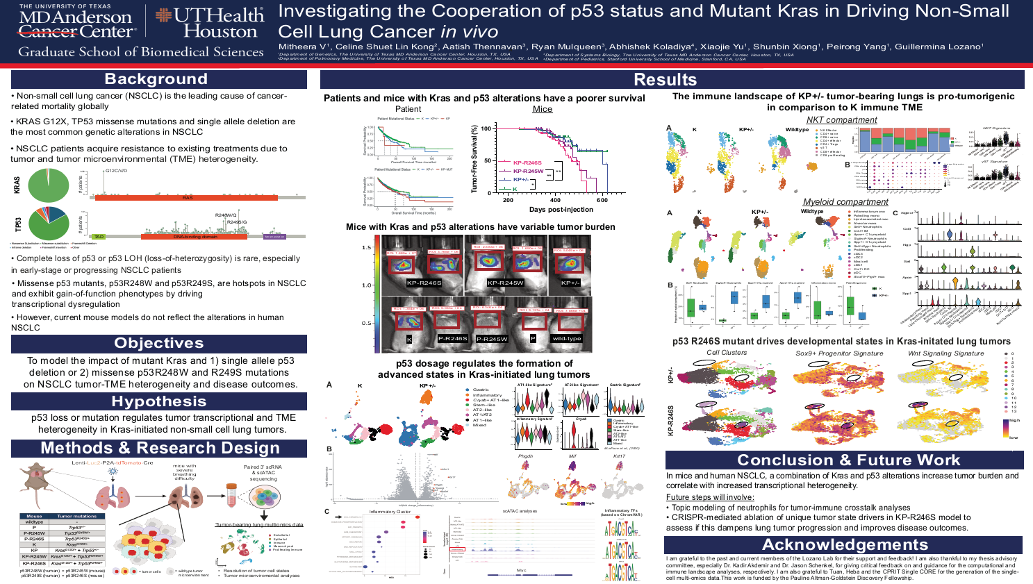 Investigating the cooperation of P53 status and mutant KRAS in driving non-small cell lung cancer in vivo