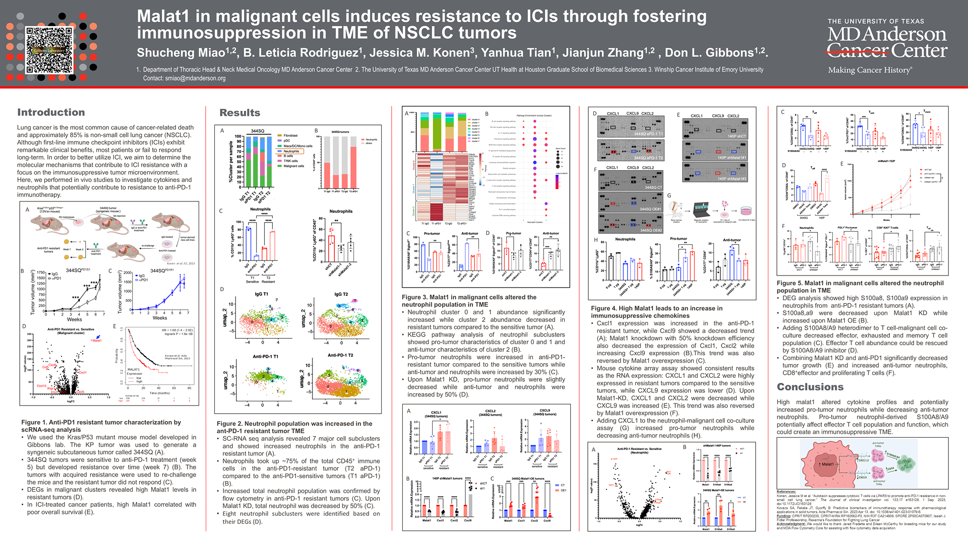 MALAT1 induces resistance to icis by increasing oxidative phosphorylation (oxphos) in malignant cells and fostering immunosuppression within the TME of NSCLC