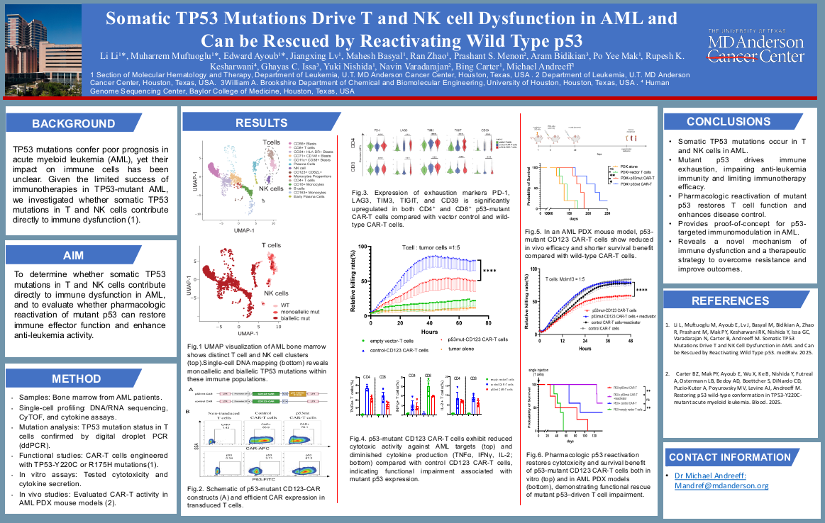 Somatic TP53 mutations drive T and NK cell dysfunction in AML and can be rescued by reactivating wild type P53