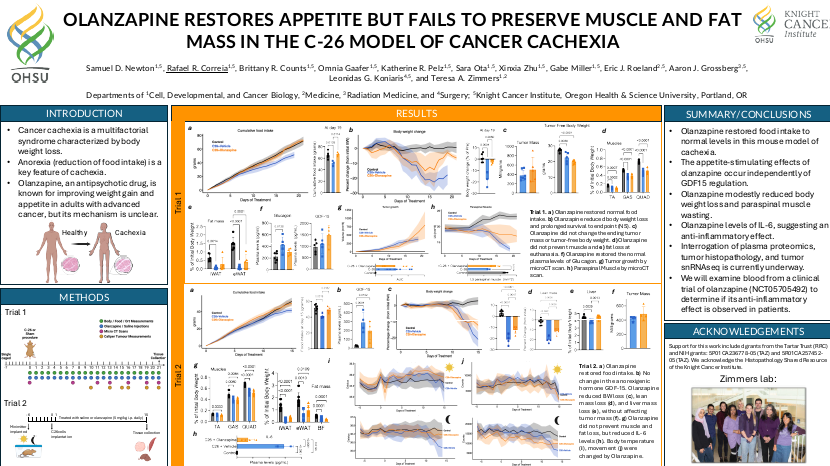 Olanzapine restores appetite but fails to preserve muscle and fat mass in the c-26 model of cancer cachexia