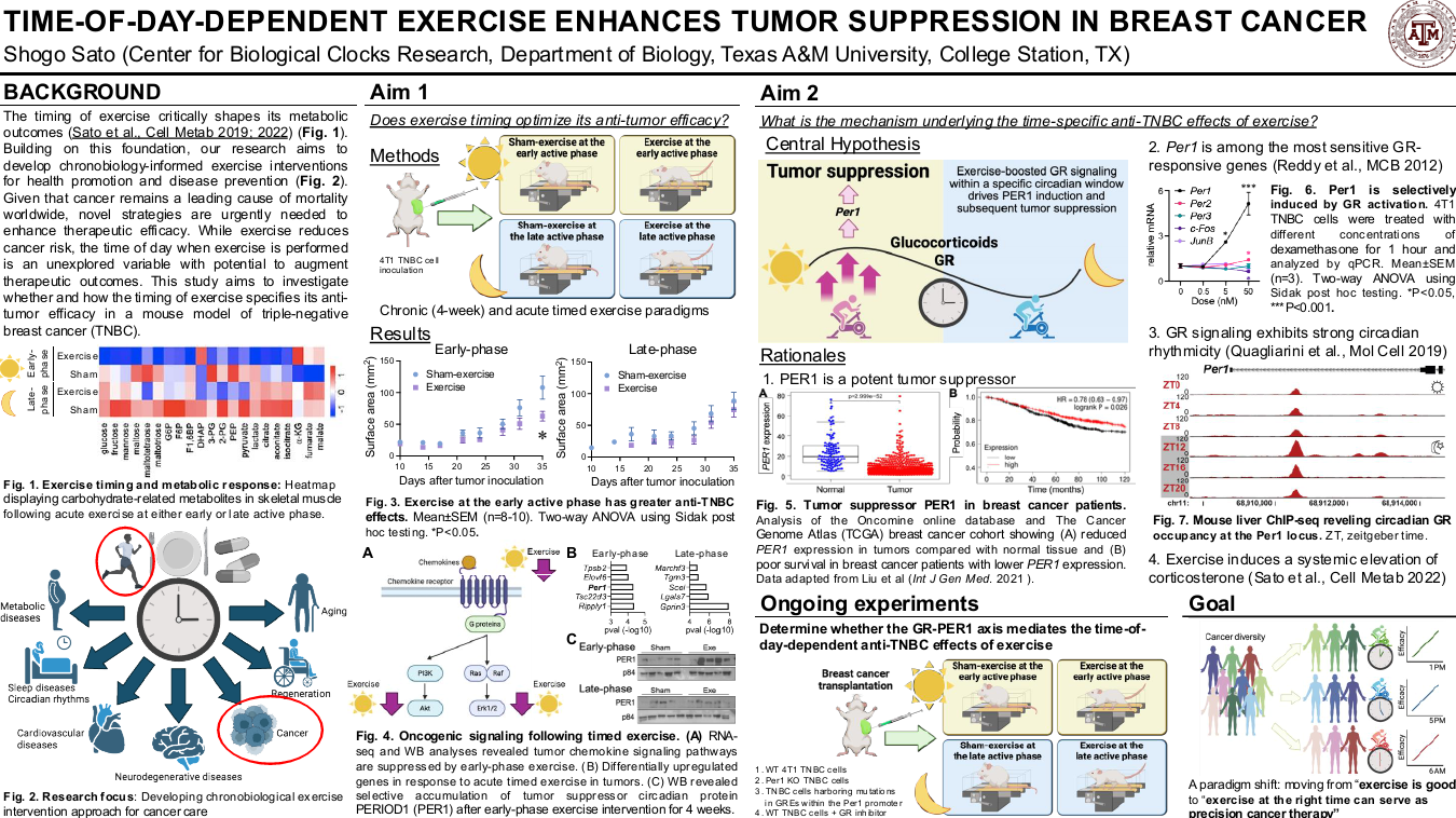 Time-of-day-dependent exercise enhances tumor suppression in breast cancer