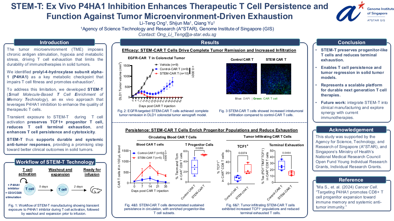STEM-T: ex vivo P4HA1 inhibition enhances therapeutic T cell persistence and function against tumor microenvironment driven exhaustion