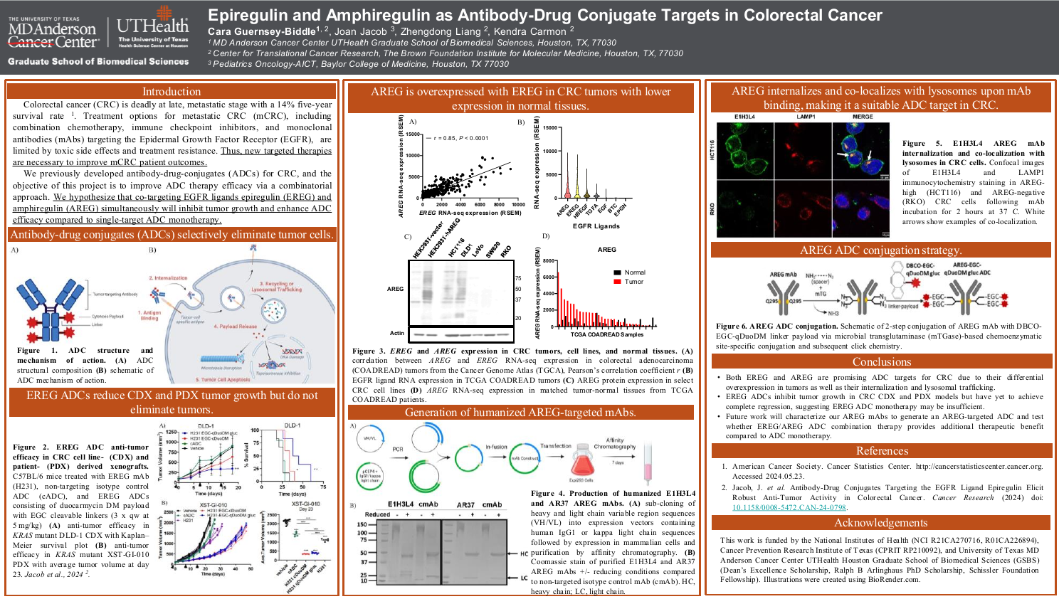 Epiregulin and Amphiregulin as Antibody-Drug Conjugate Targets in Colorectal Cancer