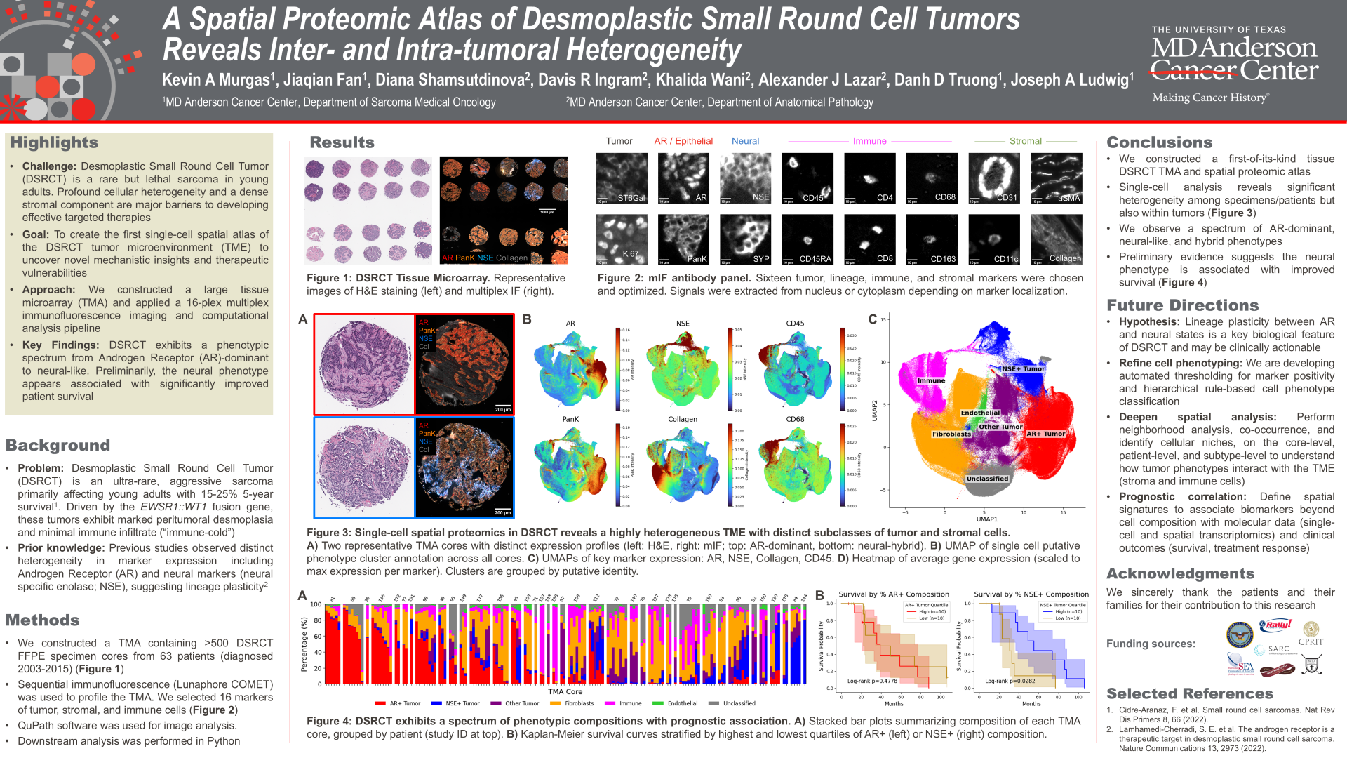 A spatial proteomic atlas of desmoplastic small round cell tumors reveals inter- and intra-tumoral heterogeneity