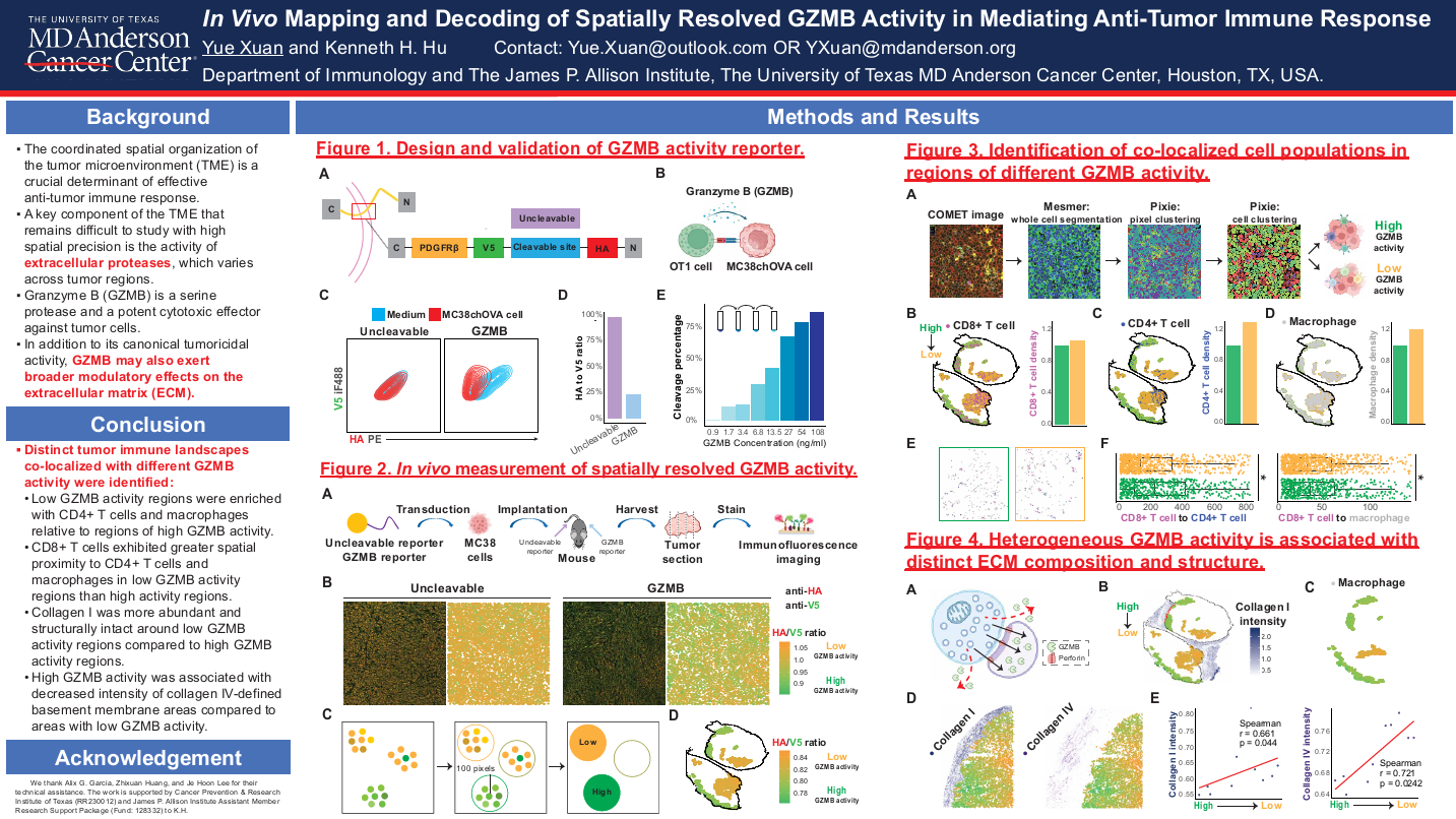 In vivo profiling the activity of extracellular proteases in the tumor microenvironment