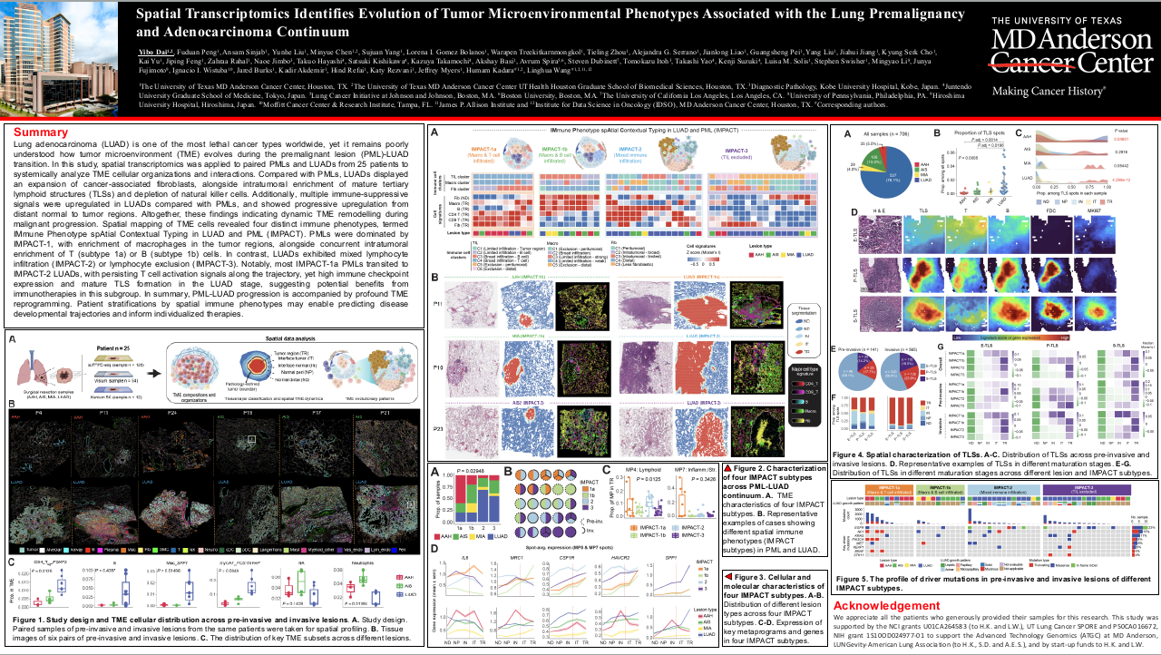 Spatial transcriptomics identifies evolution of tumor microenvironmental phenotyes associated with the lung premalignancy and adenocarcinoma continuum