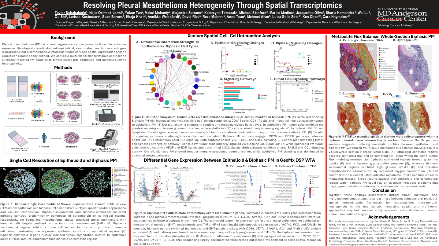 Resolving pleural mesothelioma heterogeneity through spatial transcriptomics