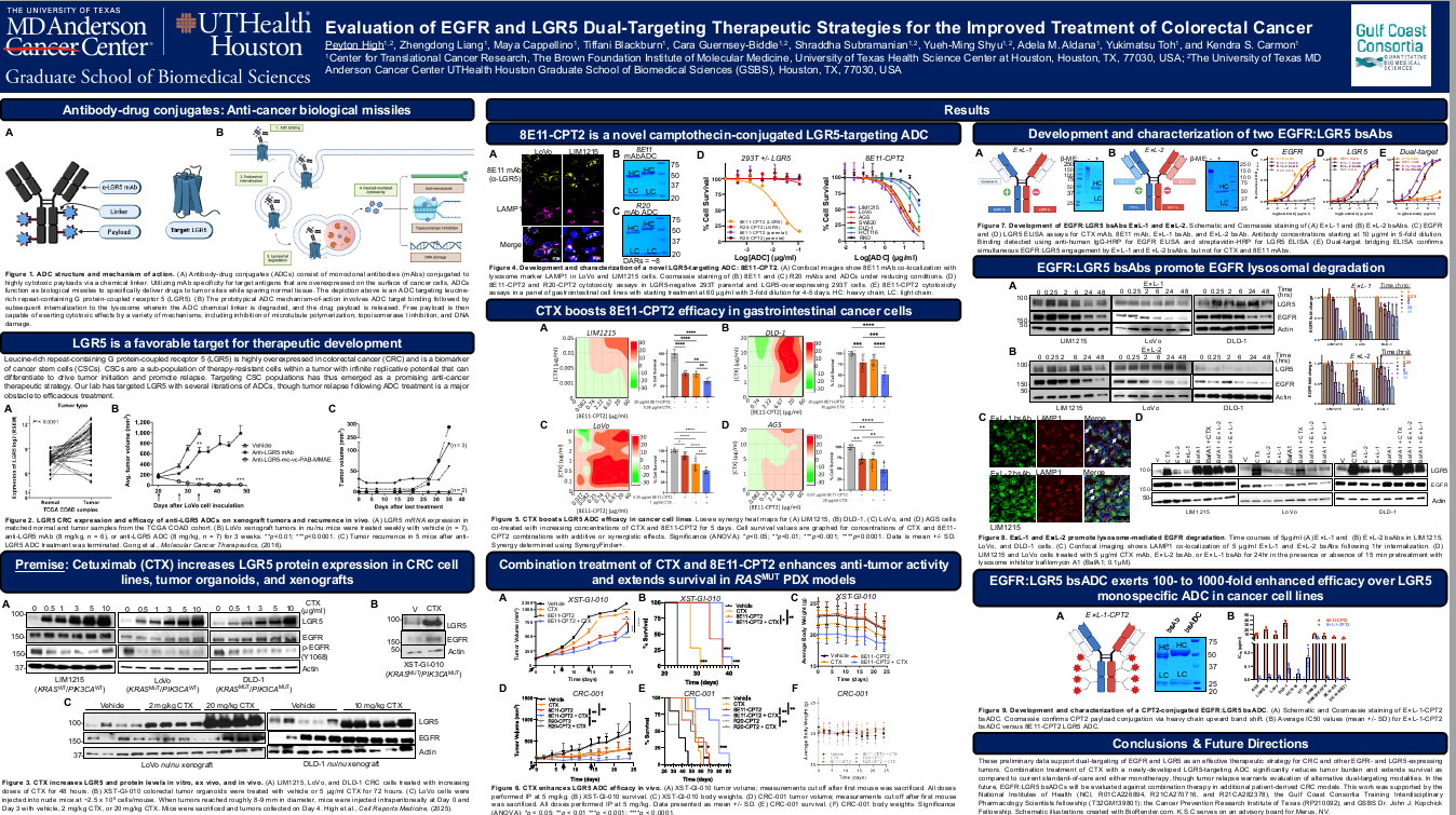 Evaluation of EGFR and LGR5 dual-targeting therapeutic strategies for the improved treatment of colorectal cancer