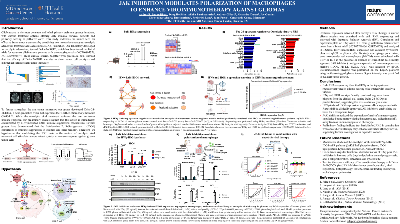 JAK inhibition modulates polarization of macrophages to enhance viroimmunotherapy against gliomas