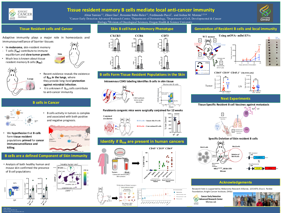 Tissue resident memory B cells mediate local anti-cancer immunity