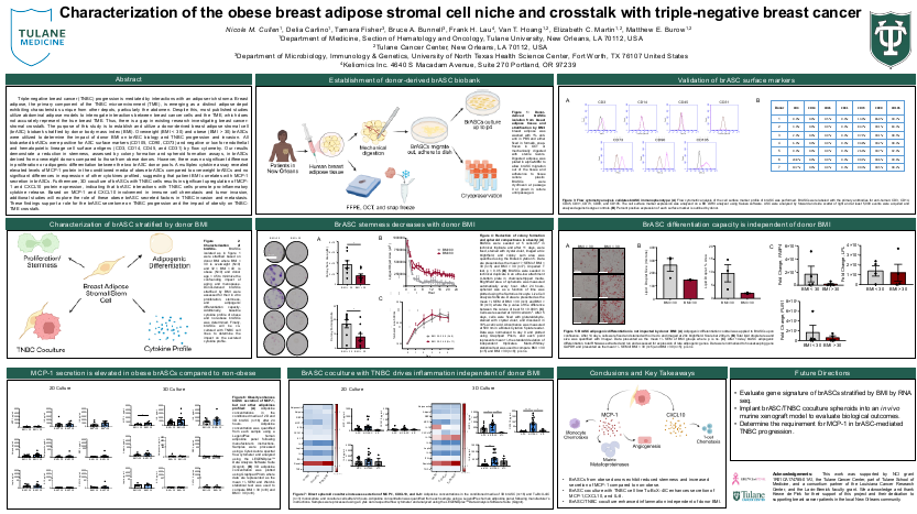 Obese breast adipose stromal cells: characterization and crosstalk with triple-negative breast cancer
