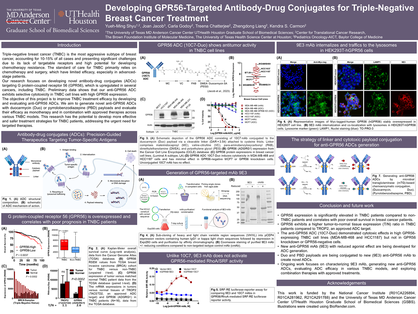Developing GPR56-targeted antibody-drug conjugates for triple-negative breast cancer treatment