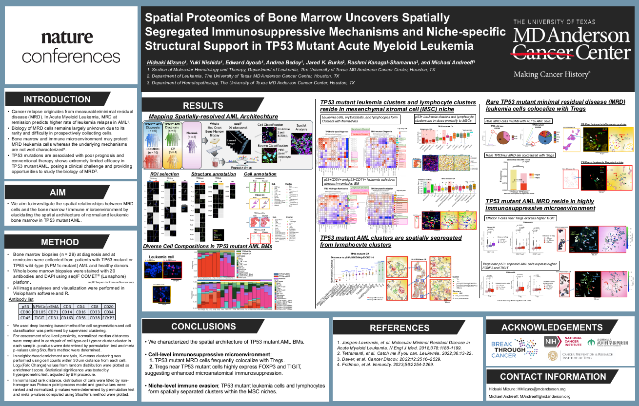 Spatial proteomics of bone marrow uncovers spatially segregated immunosuppressive mechanisms and niche-specific structural support in TP53 mutant acute myeloid leukemia