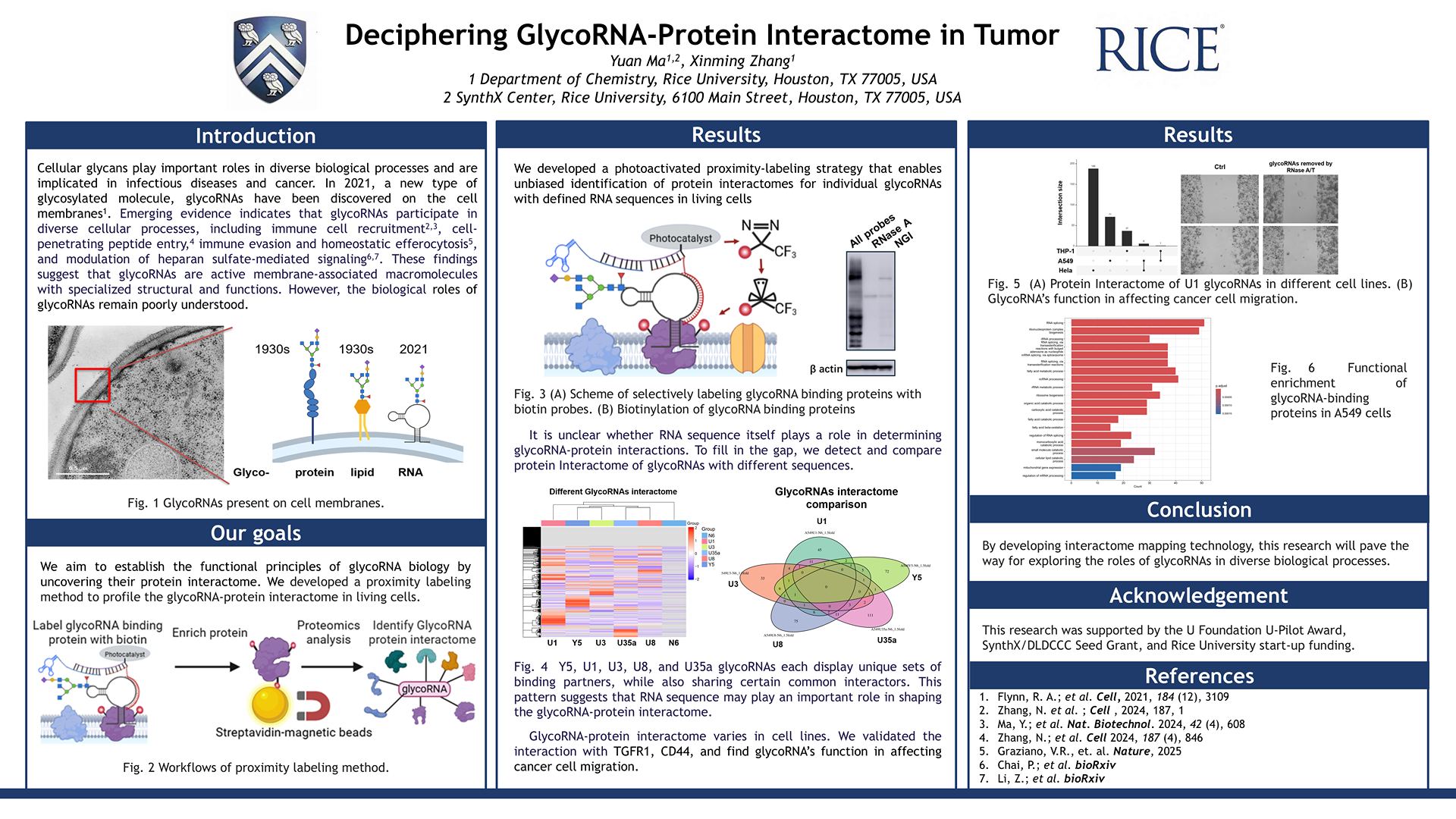 Deciphering the glycorna-protein interactome in tumor