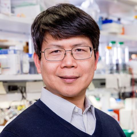 Zhijian ‘James’ Chen