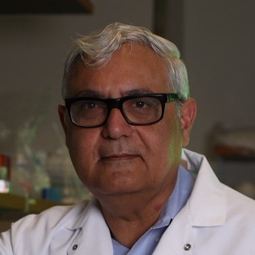 Ashutosh Chilkoti