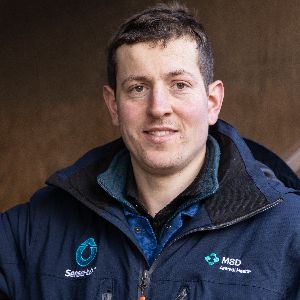 Tom Pattison