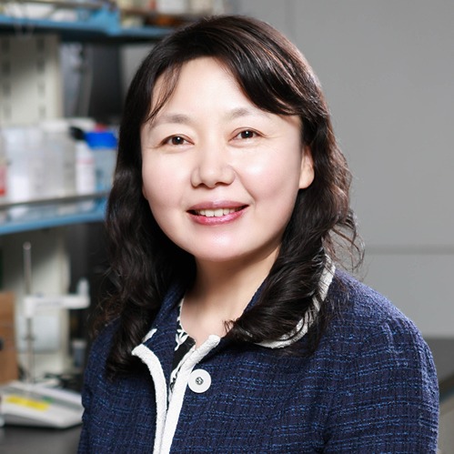 Lizhu Wu