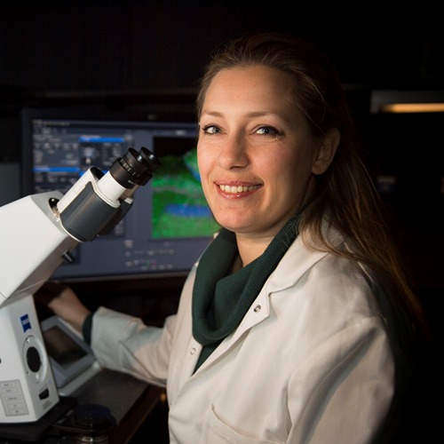 Lida Katsimpardi